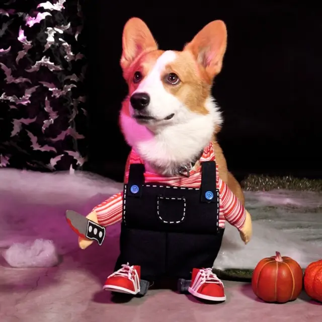 Cómo hacer un disfraz de Halloween para perro pequeño