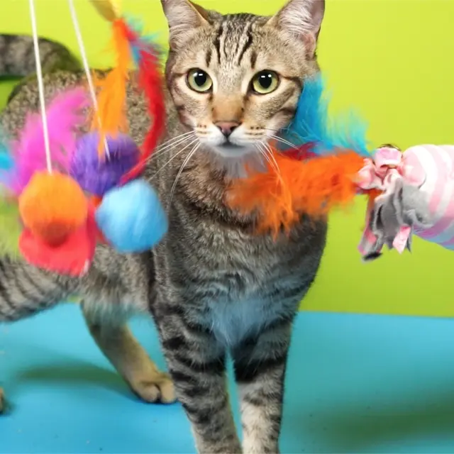 3 juguetes para gato