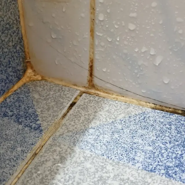 del cómo quitar el jabón de los azulejos del baño