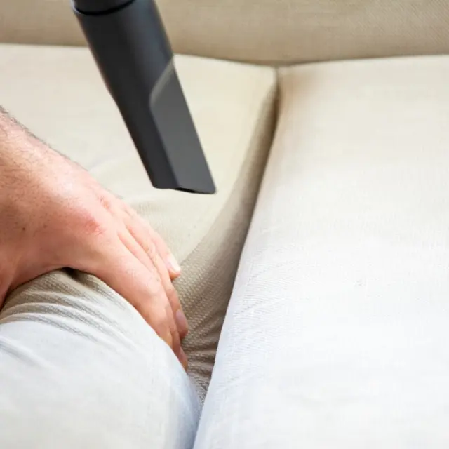 Confuso disculpa Brote Limpieza del hogar: Cómo eliminar las chinches de un sillón o sofá cama