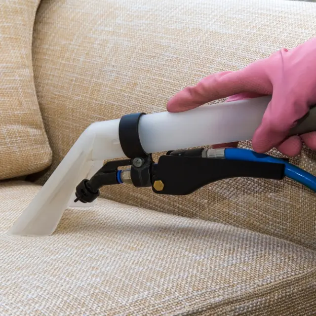 Confuso disculpa Brote Limpieza del hogar: Cómo eliminar las chinches de un sillón o sofá cama