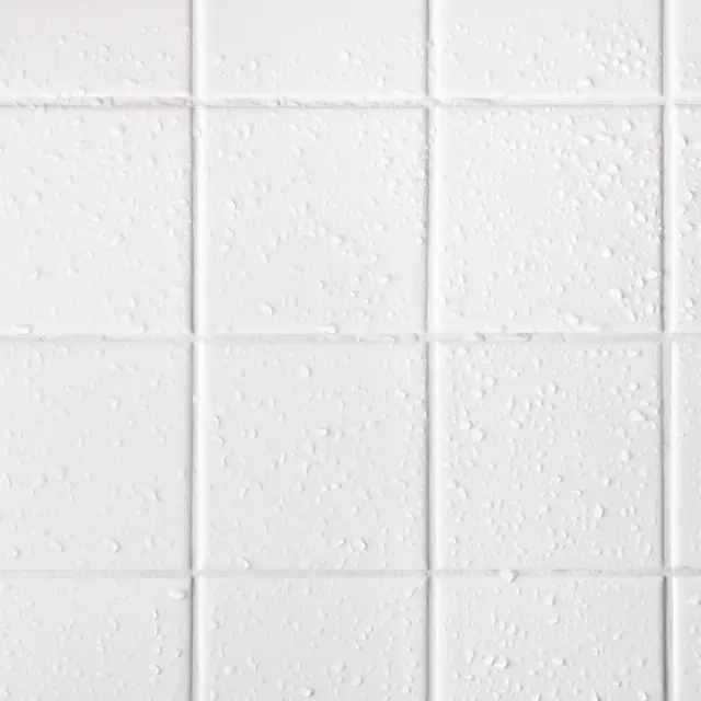 Hobart Emociónate micrófono Limpieza del baño: Cómo quitarle lo negro a las juntas del azulejo del baño