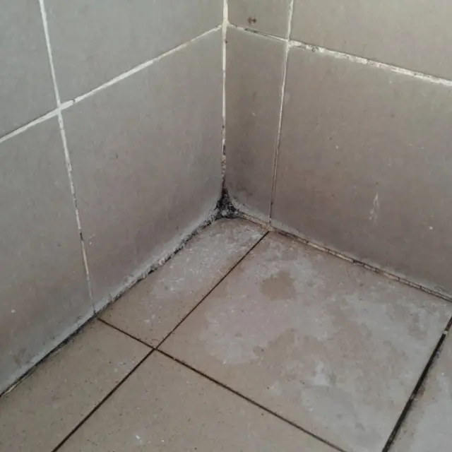 Limpieza del cómo quitar el moho y el de los azulejos del baño